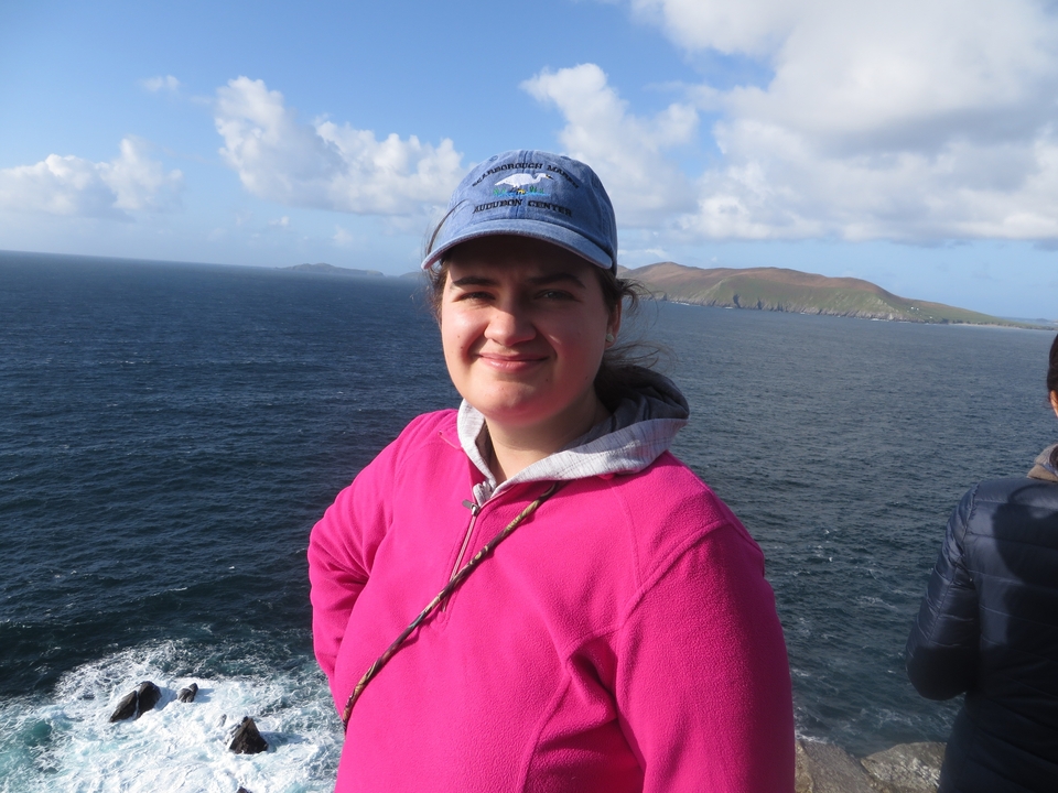 Personne sur une falaise avec vue sur l'océan.