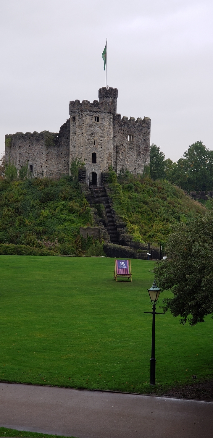 Vista frontal de un castillo medieval con vegetación rodeándolo.