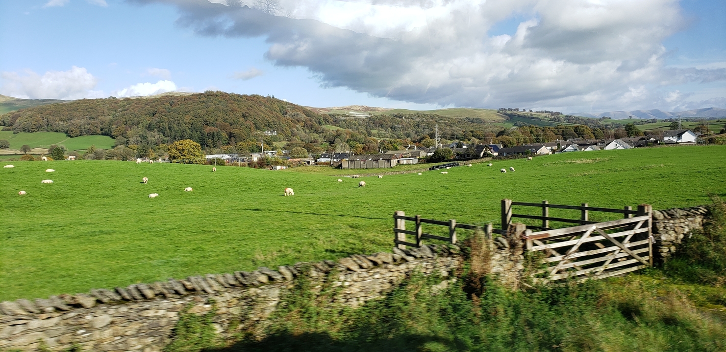 Un paisaje campestre pintoresco con colinas ondulantes, un muro de piedra y ovejas pastando.
