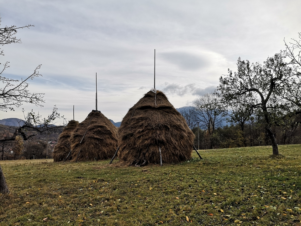 Meules de foin dans un champ avec des montagnes en arrière-plan.