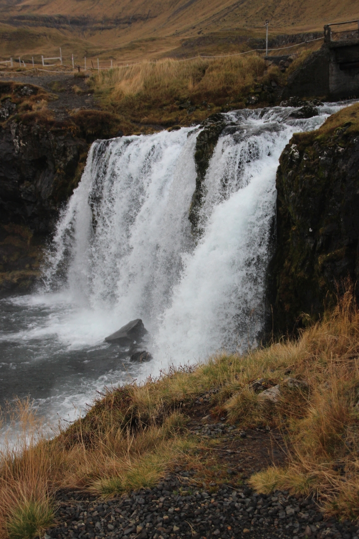 Gros plan d'une cascade avec un environnement luxuriant.