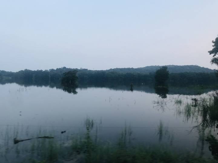 Eau calme avec reflet de forêt au crépuscule.