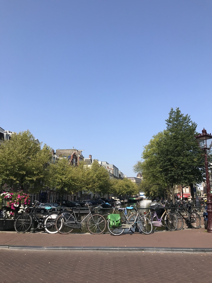 Une rue urbaine bordée d'arbres sous un ciel dégagé.