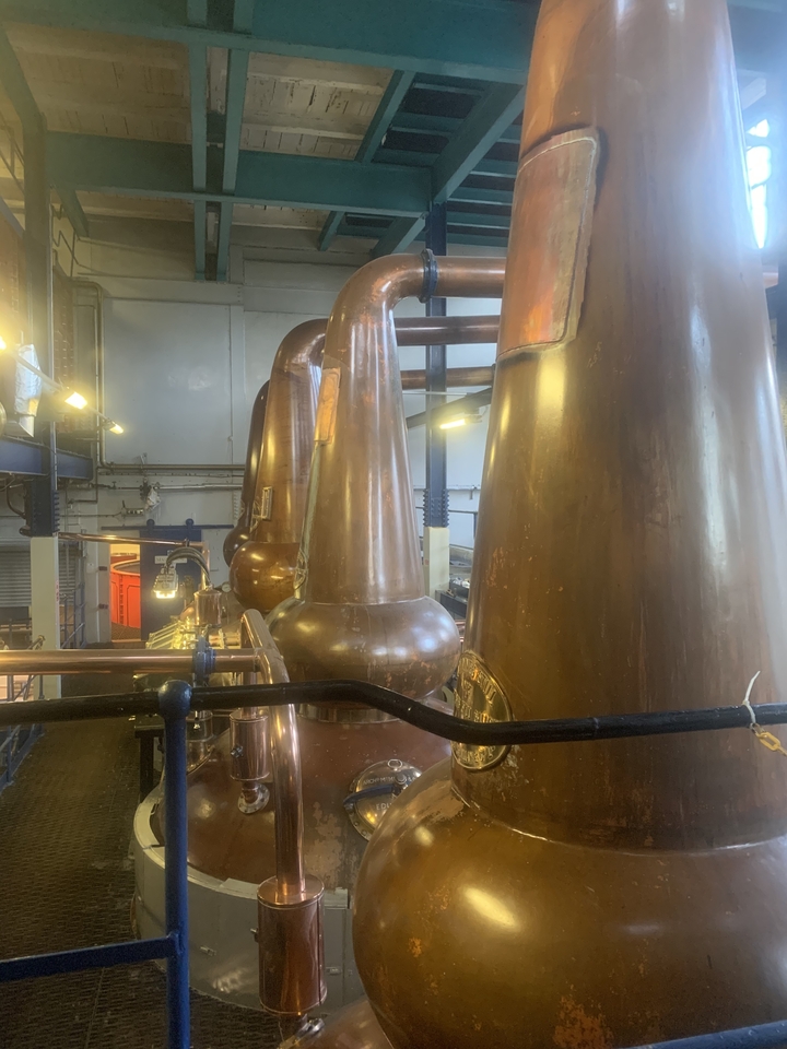 Intérieur d'une distillerie avec des alambics en cuivre.