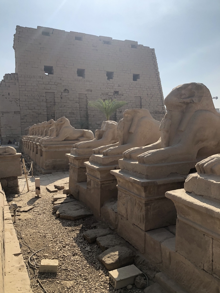 Rangée de statues de sphinx menant à un temple.