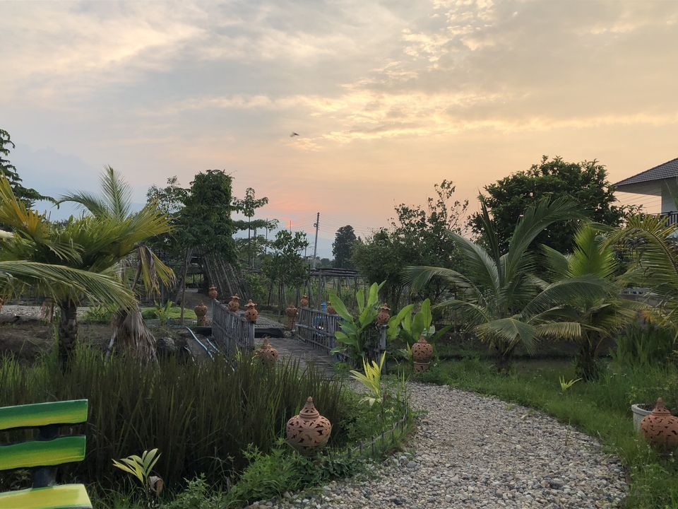 Jardin avec une variété de plantes et de palmiers, photographié au coucher du soleil.