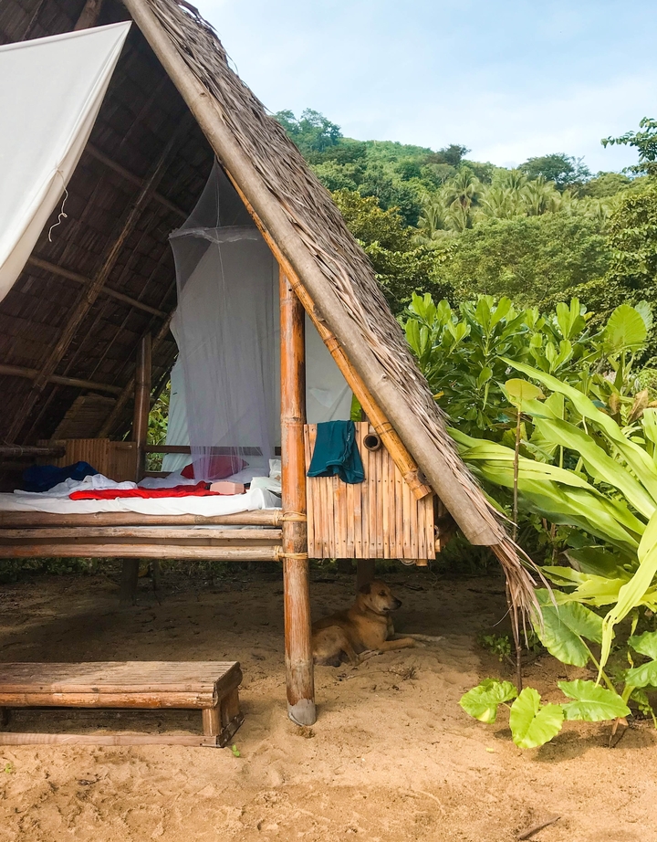Simple hutte en bambou avec un toit de chaume entourée d'une végétation luxuriante.