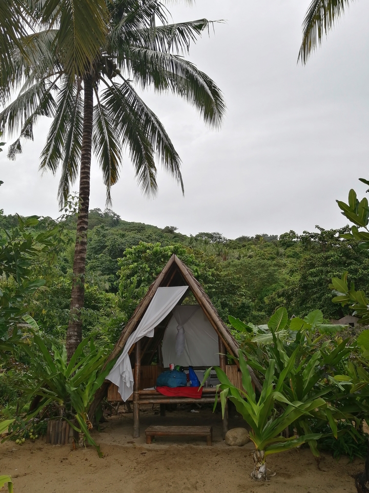 Petite hutte en bambou avec un décor de jungle en arrière-plan.