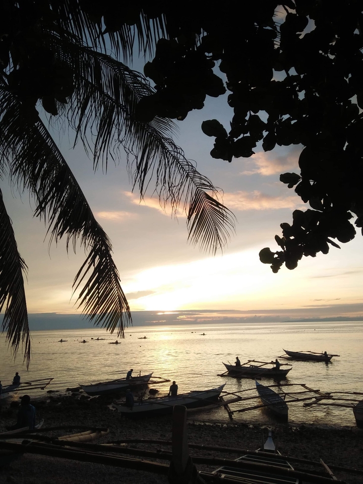 Coucher de soleil tropical sur l'océan avec des palmiers.