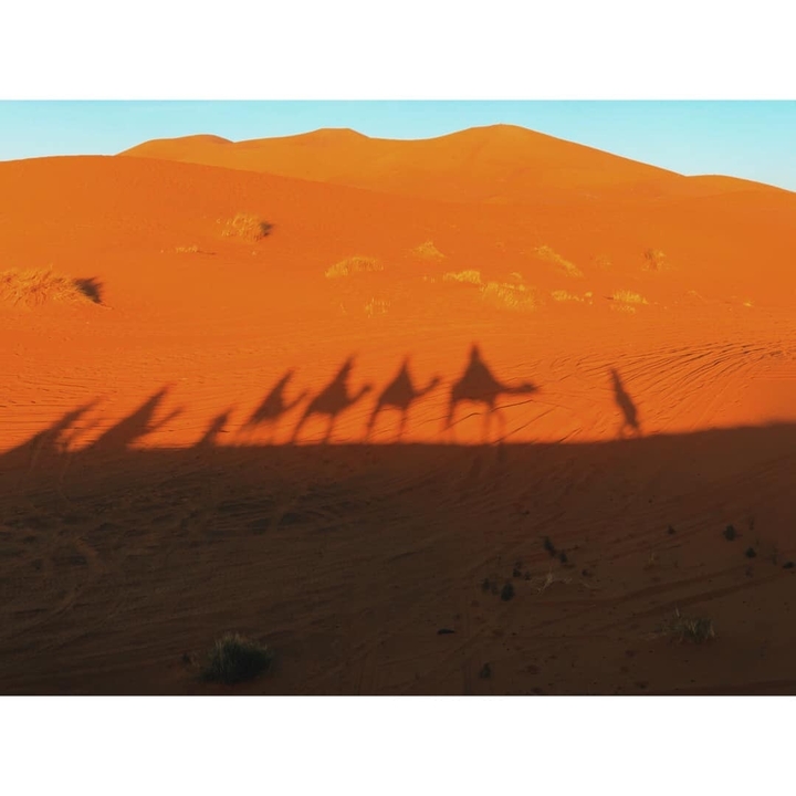 Shadows of camels and riders cast on sand dunes.