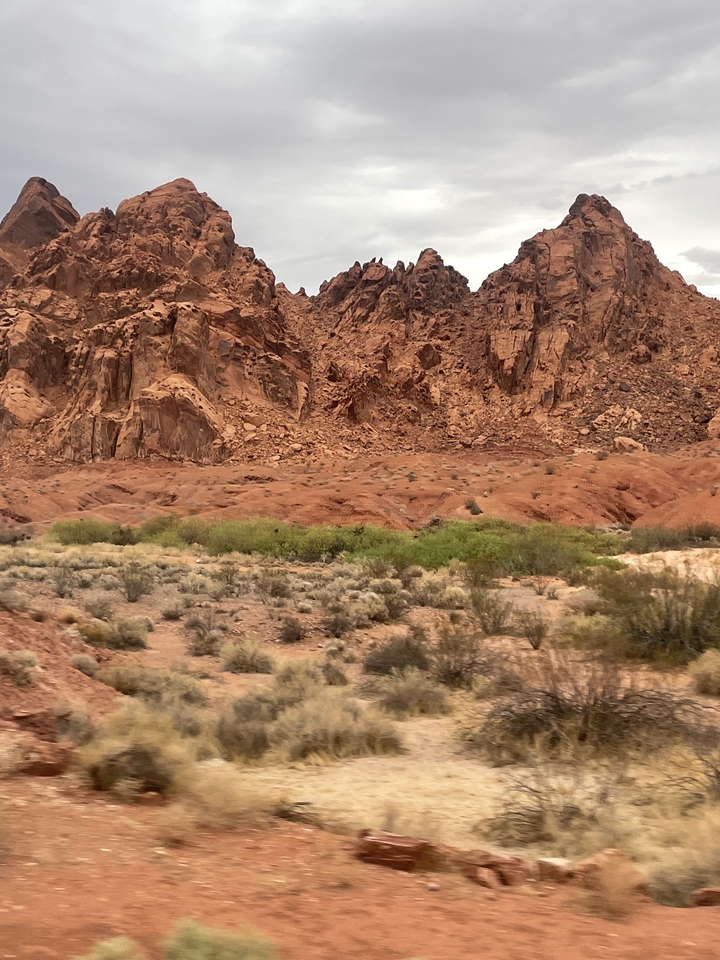 Formations rocheuses rouges spectaculaires et végétation clairsemée dans un désert.