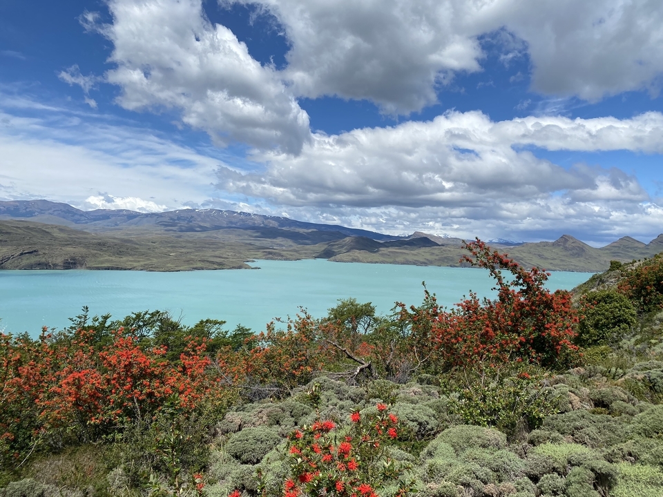 Paysage pittoresque d'un lac turquoise avec des montagnes.