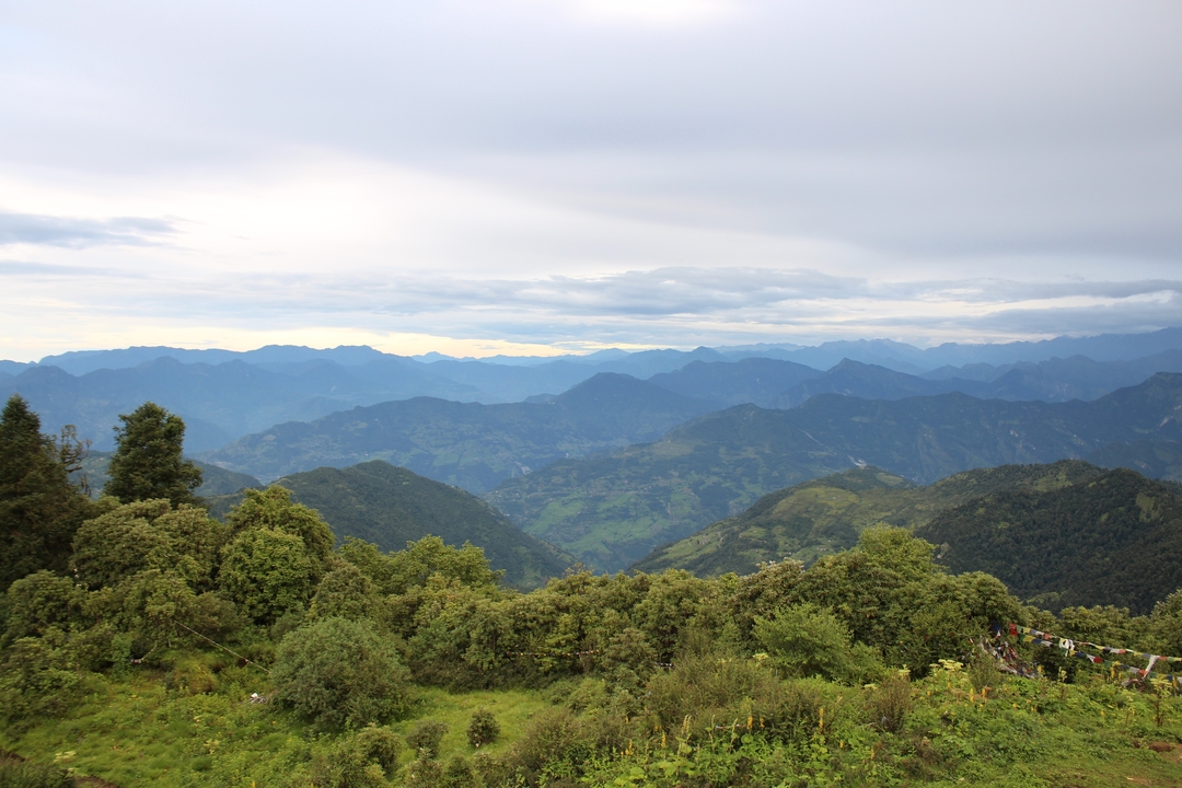 Layered ridges of the Himalayas fading into the distance at dusk, seen from a lush hilltop viewpoint.