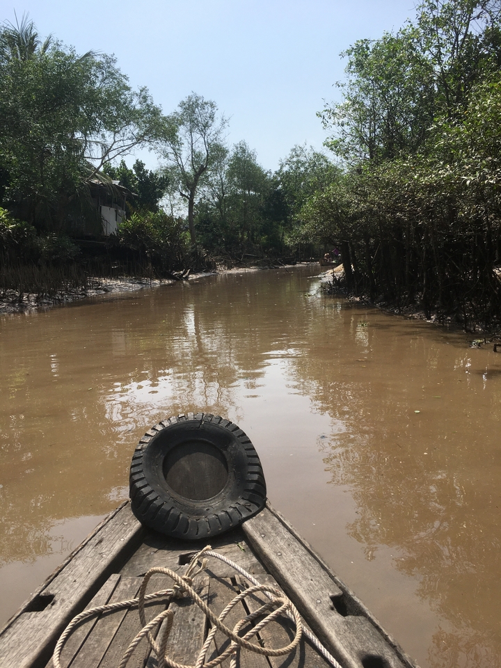 Étroit passage d'eau à travers une forêt de mangroves luxuriante.