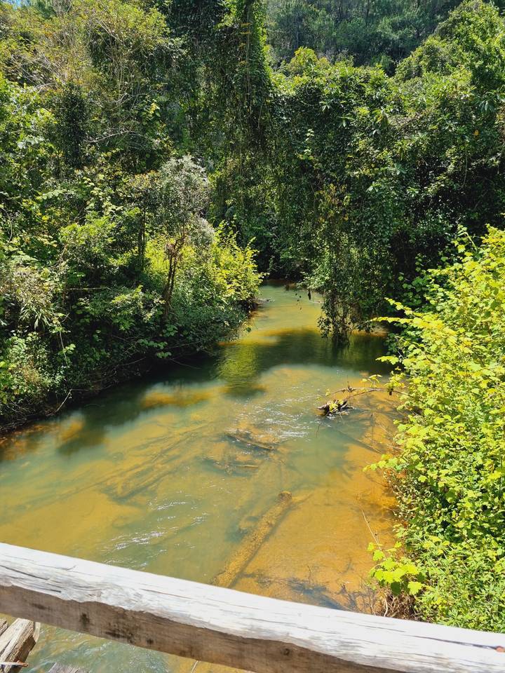 Une rivière qui coule à travers une forêt.