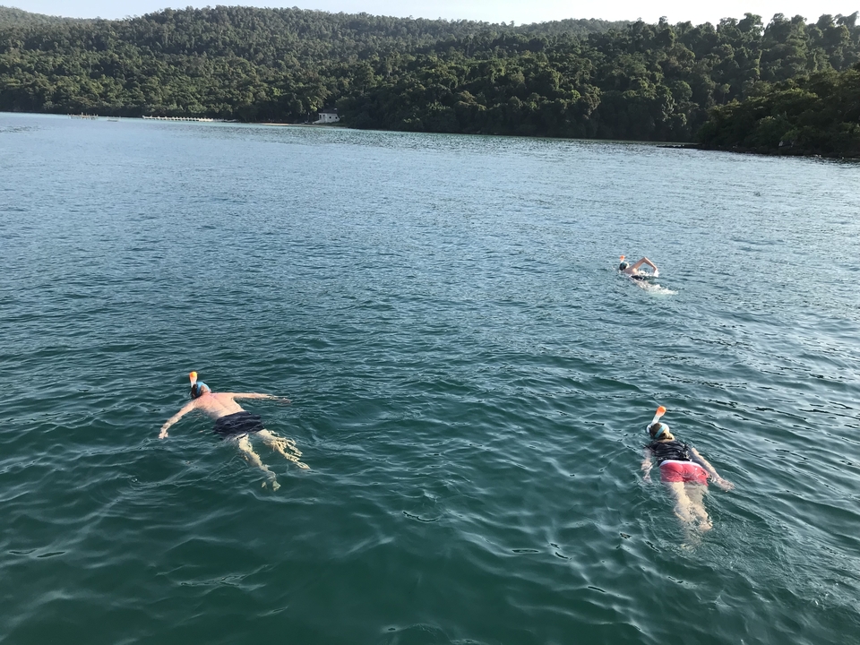 Nageurs faisant de la plongée avec tuba dans une étendue d'eau libre.