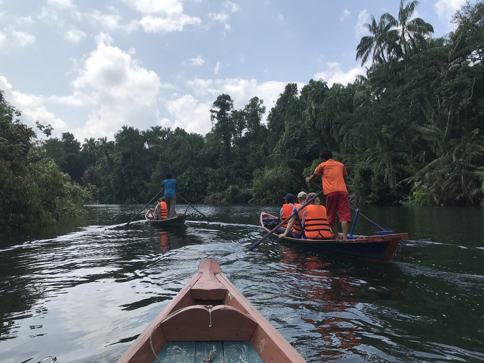 Des gens qui font du canoë sur une rivière entourée de jungle.
