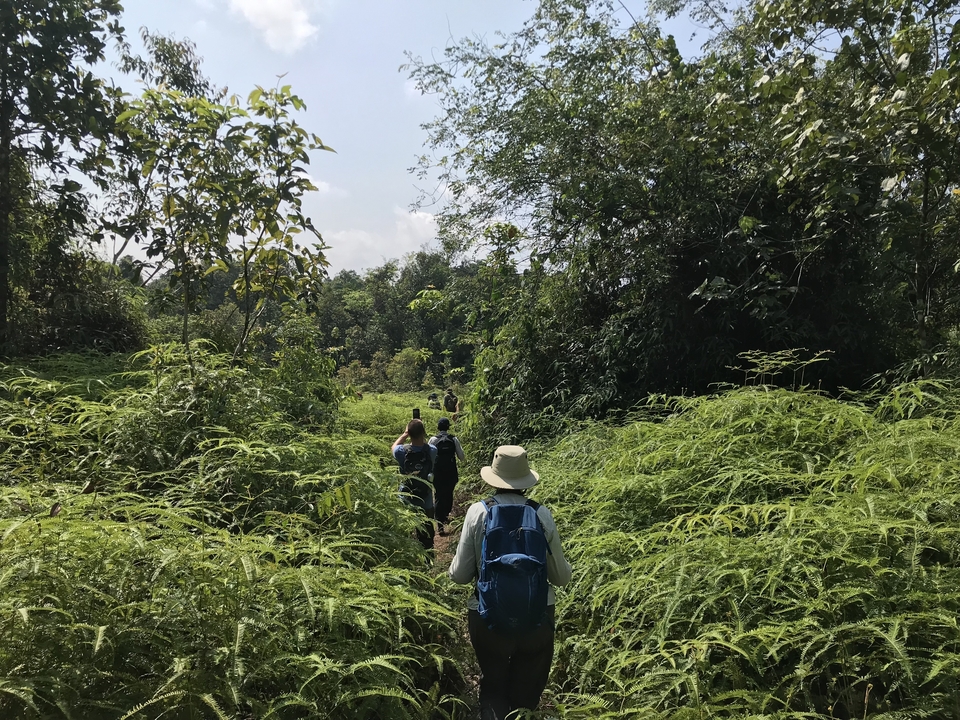 Groupe de randonneurs marchant à travers un feuillage dense de jungle.