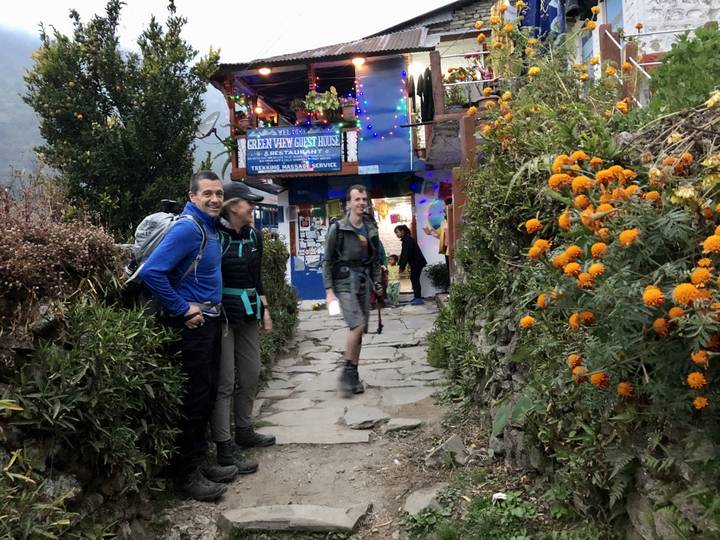 Excursionistas caminando por un pueblo con árboles decorados.