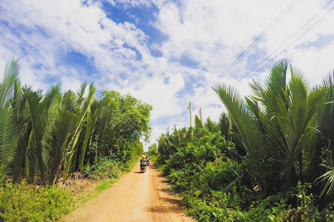 Deux personnes conduisant des motos sur une route bordée de palmiers.