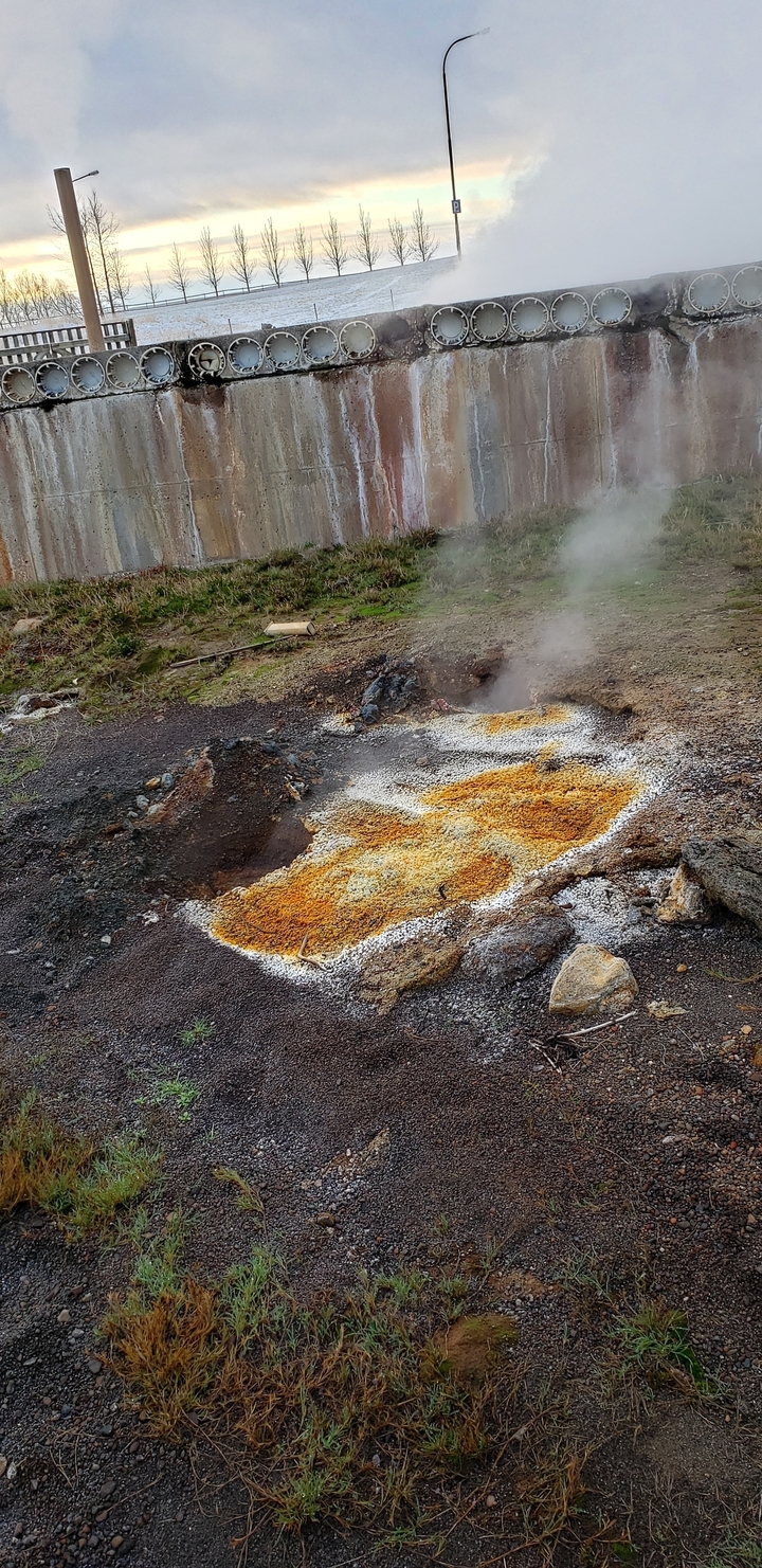 Colorful geothermal ground with steam rising.