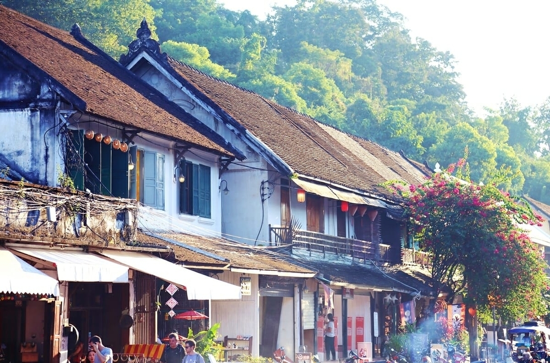 Rue charmante avec des bâtiments de style colonial et de la verdure.