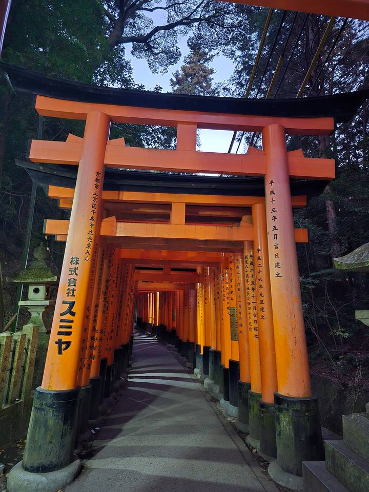 Sentier bordé de torii rouges avec inscriptions.
