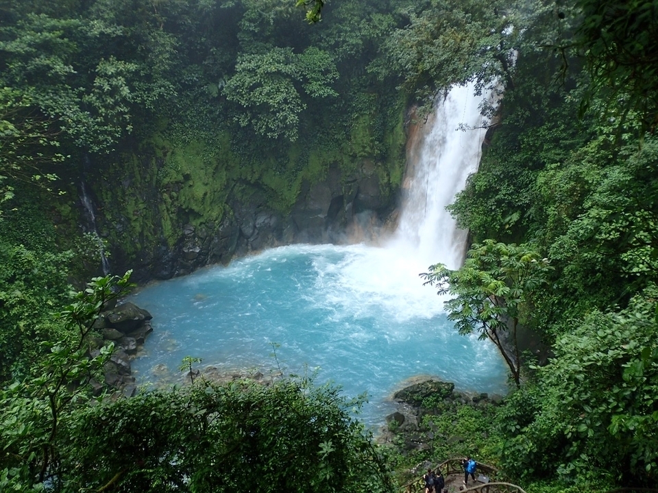 Cascade vibrante entourée d'un feuillage vert luxuriant.