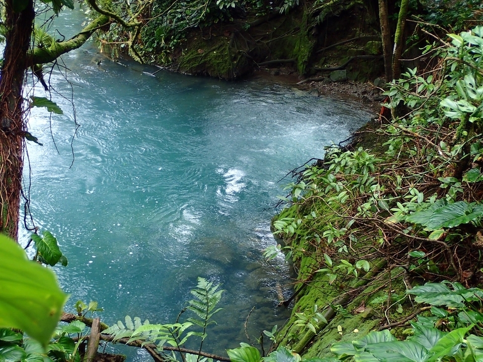 Eau bleu lagon entourée d'une végétation tropicale dense.