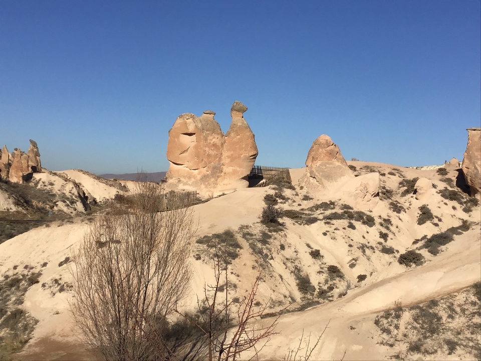Des formations rocheuses uniques dans un paysage désertique.