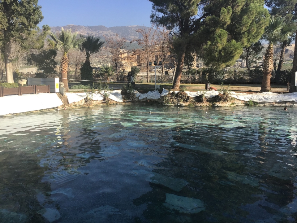 Une piscine thermale entourée d'arbres et de rochers.