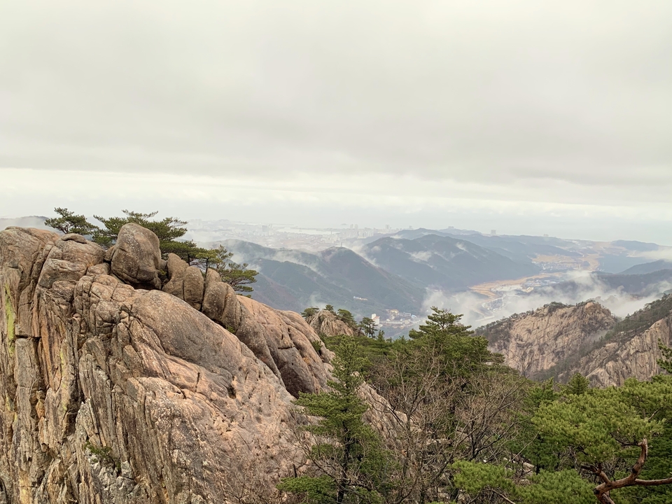 Paysage montagneux avec des collines brumeuses couvertes d'arbres et d'affleurements rocheux.