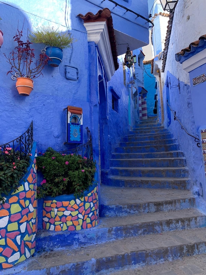 Ruelle bleue éclatante avec des marches et des plantes.