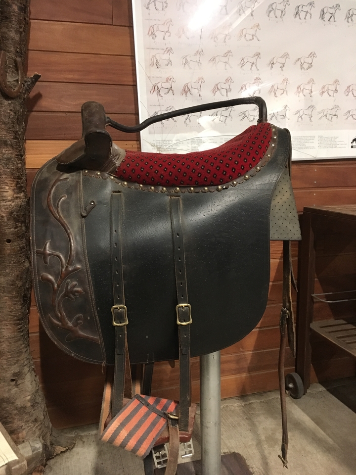 Selle en cuir exposée