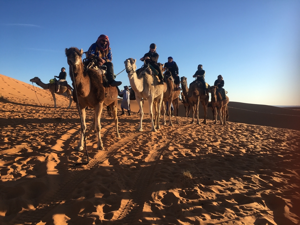 Groupe chevauchant des chameaux à travers le désert.