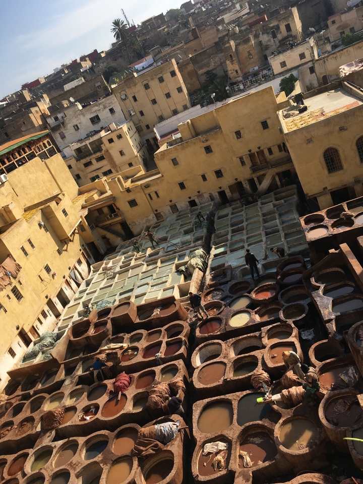 Aperçu d'une tannerie traditionnelle à Fès.