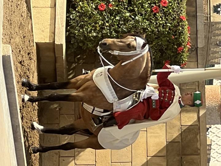 Garde monté en tenue d'apparat.