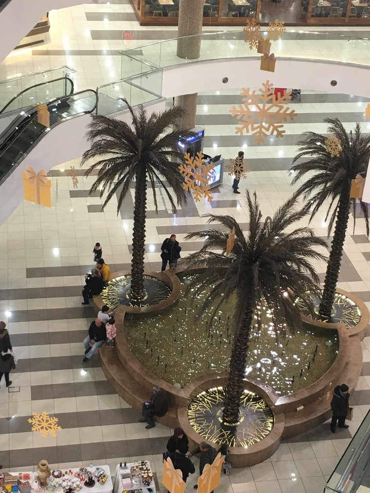 Vue de l'intérieur d'un centre commercial avec des palmiers.