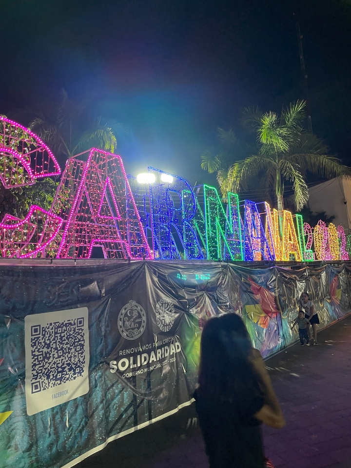 Enseigne au néon écrivant 'Carnaval' avec des lumières colorées lors d'un festival.