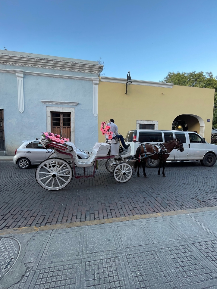 Calèche tirée par des chevaux avec des décorations florales sur une rue pavée.