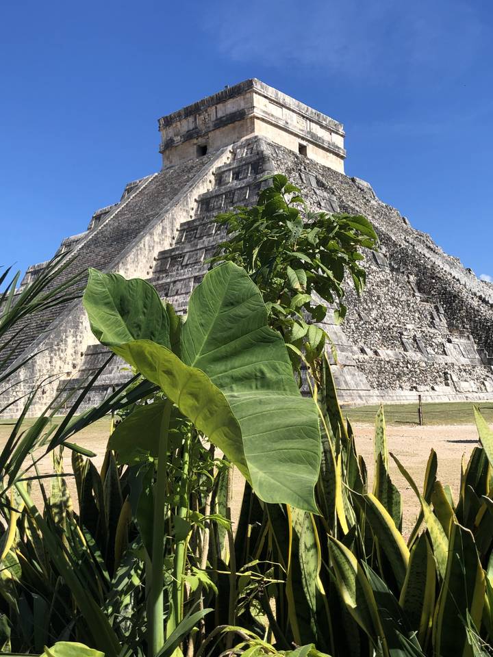Ancient stone structure partially obscured by foliage.