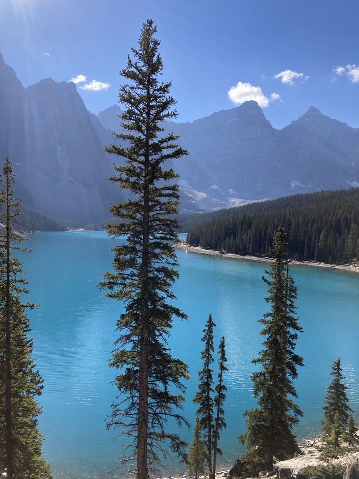 Lac bleu serein entouré de pins et de montagnes.