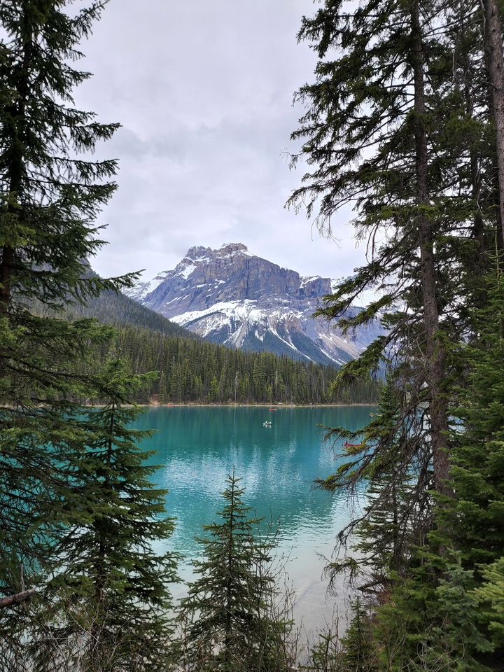 Lac serein entouré de forêt et de sommets montagneux.