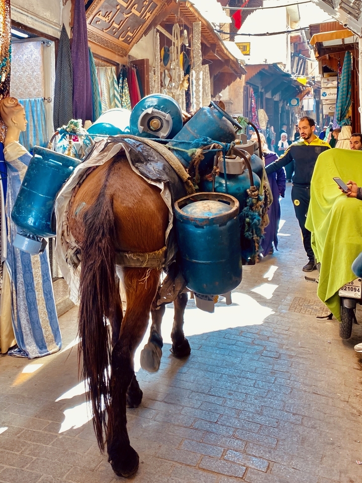 Âne transportant des bonbonnes de gaz dans une rue étroite.