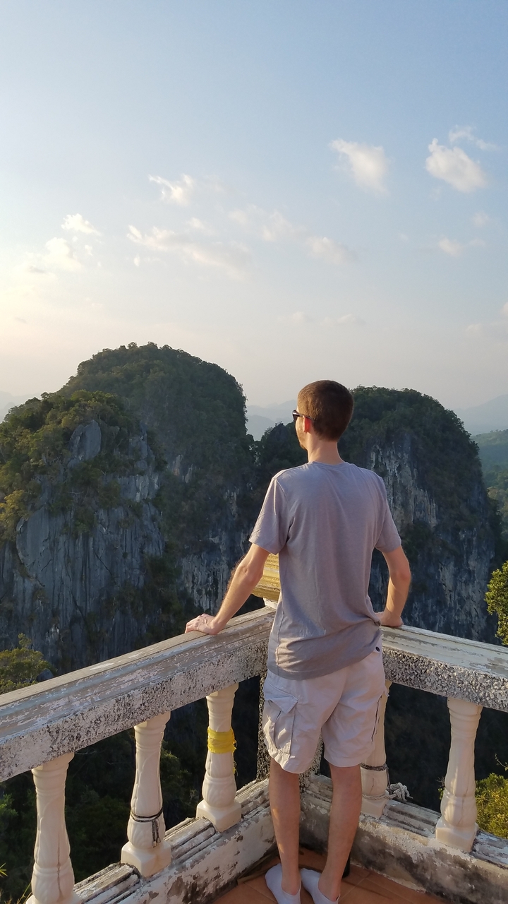 Man overlooking a lush, mountainous landscape.