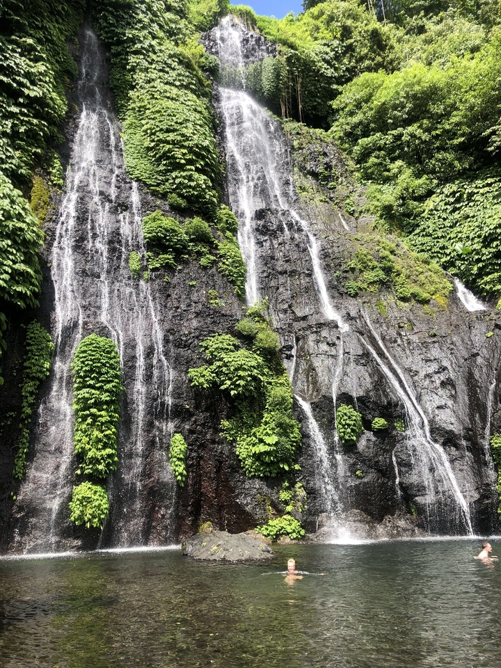 Cascade luxuriante dévalant une falaise rocheuse couverte de verdure.