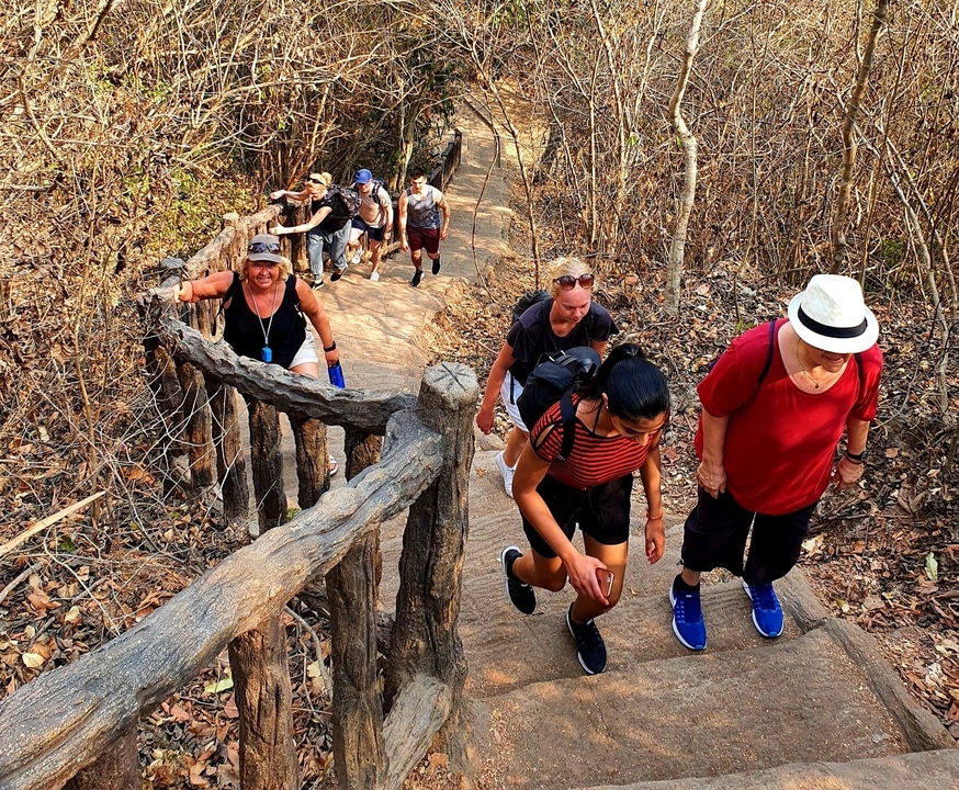 Groupe de personnes faisant de la randonnée sur un sentier de pierre dans une forêt.
