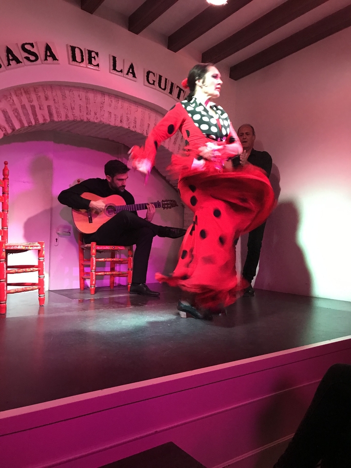 Spectacle traditionnel de flamenco avec guitariste.