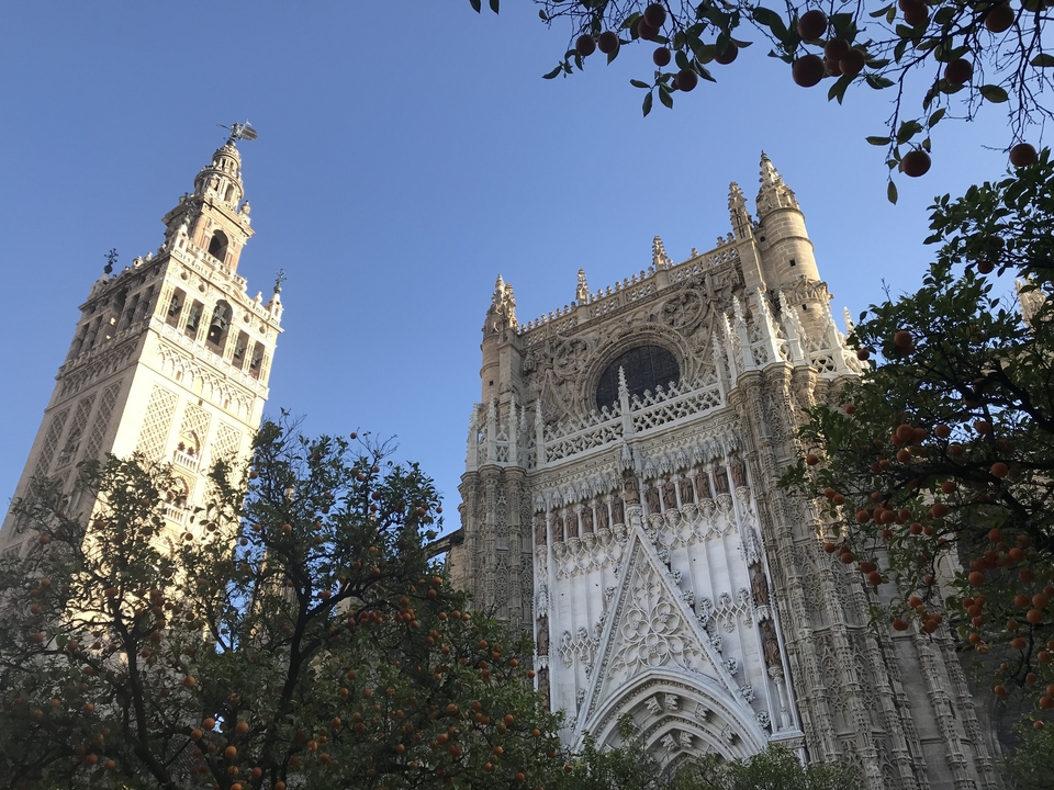 Cathédrale de Séville avec des détails ornés et des arbres au premier plan.