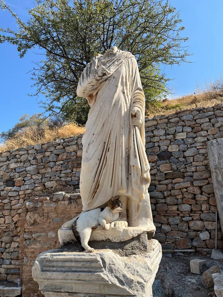 Statue antique partiellement masquée par un chat.